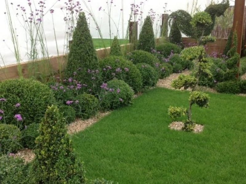 Clipped cones and topiary in a mixed planting scheme